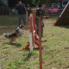 foire-haricots 2011-09-17et18